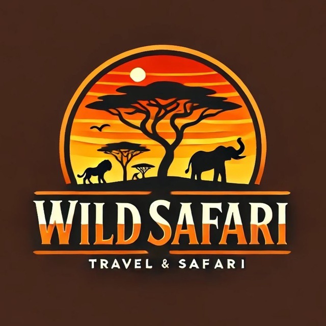 Wild Safari Tours