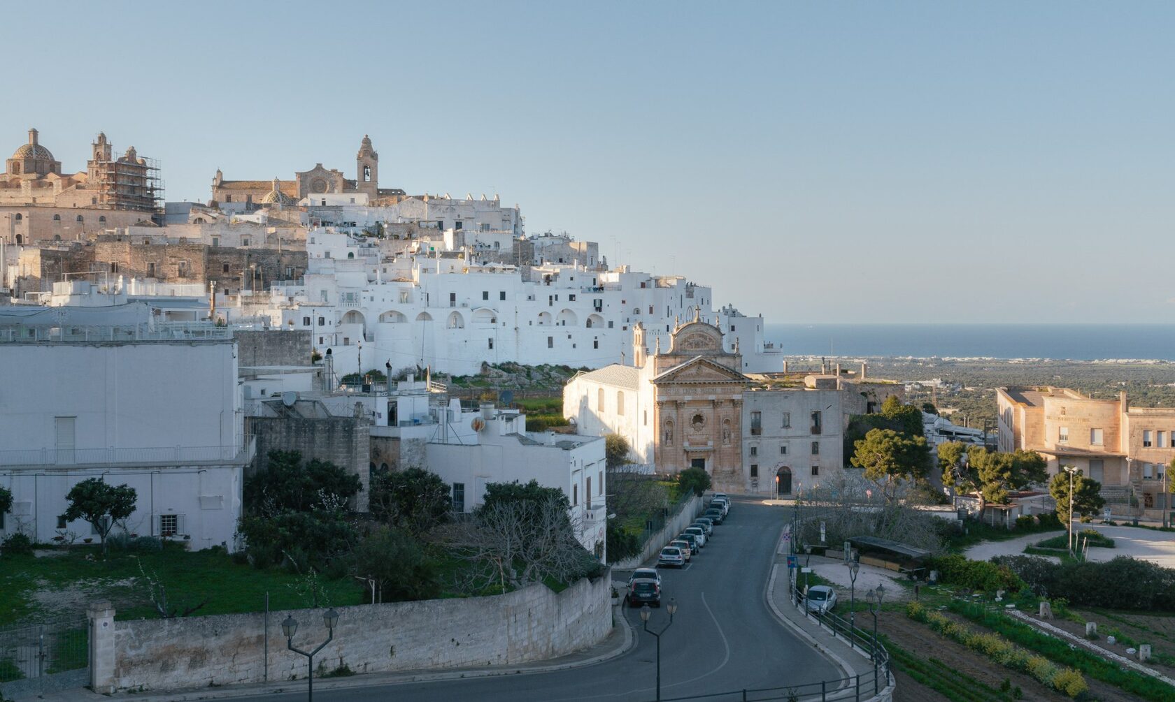 Ostuni's white old town glowing above the olive groves at sunset