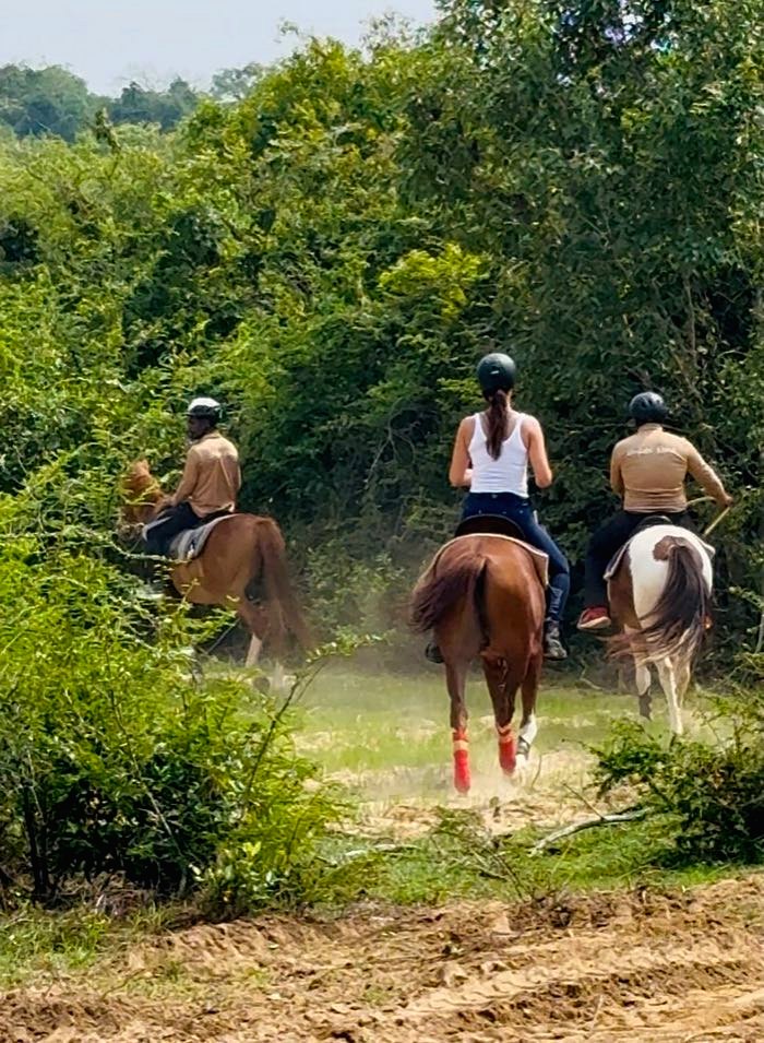 Guided horseback trail ride entering a jungle corridor at Vonfidel Ranch in Sri Lanka
