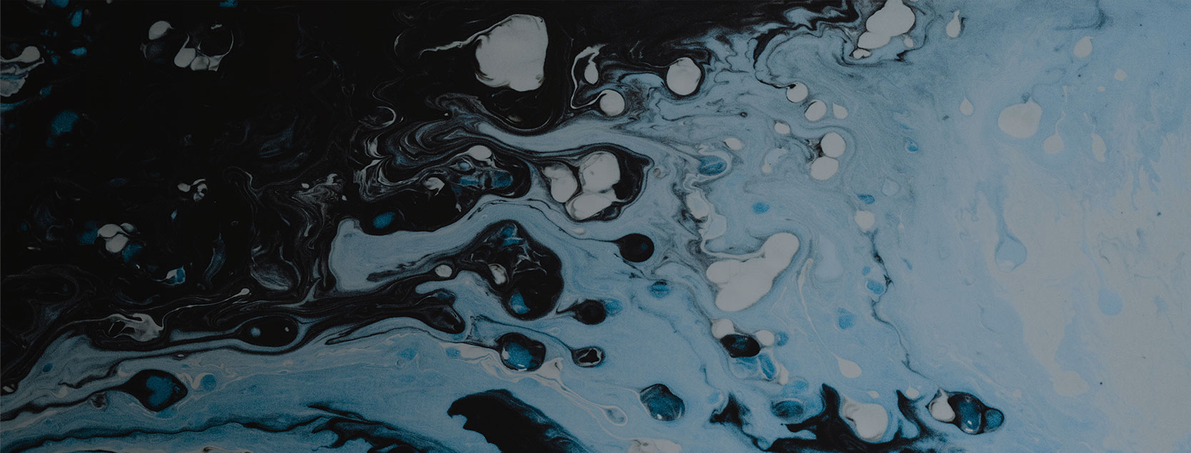 Cortex Wallet | Cortex Labs