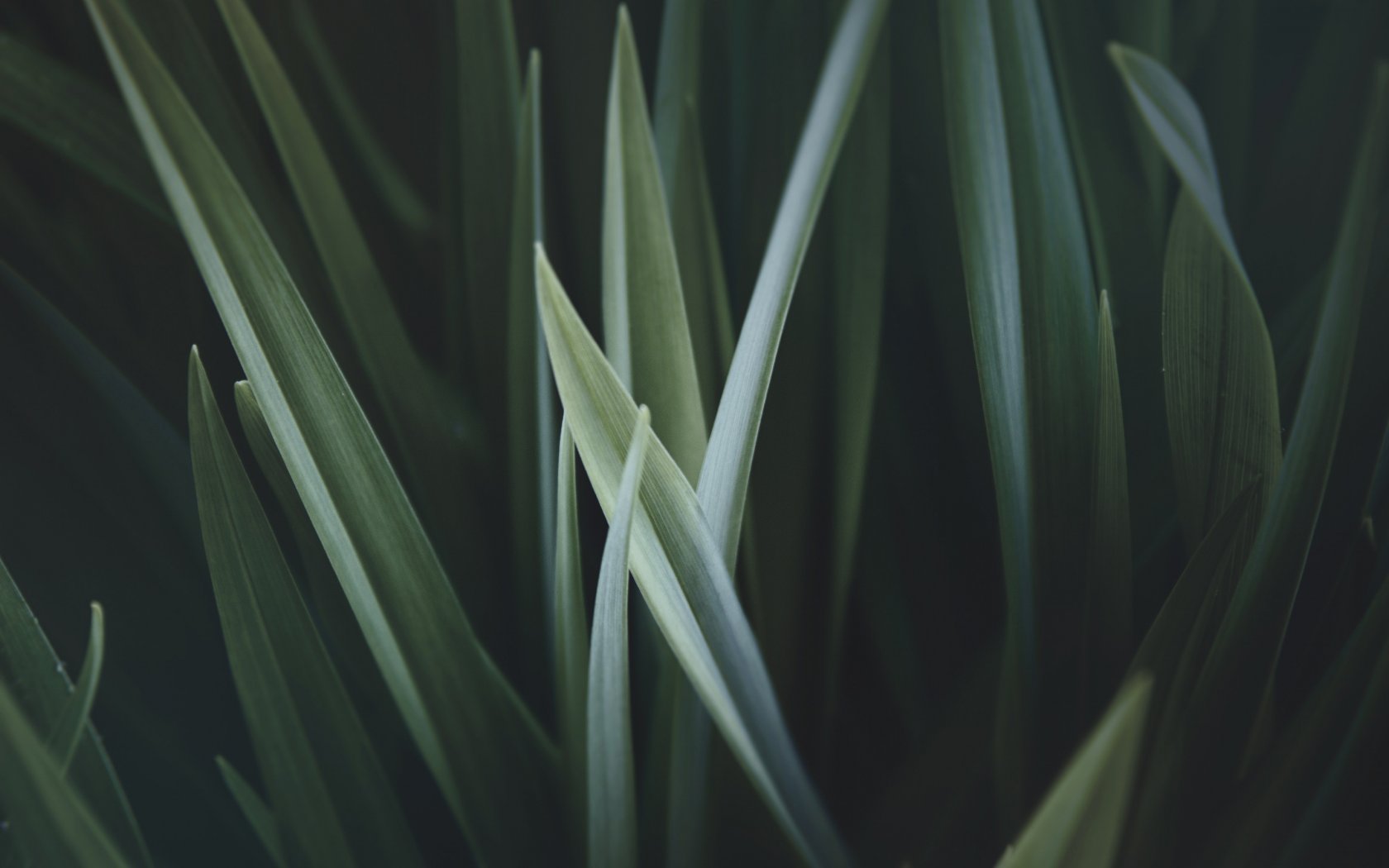 Certificats de qualité Livoltek