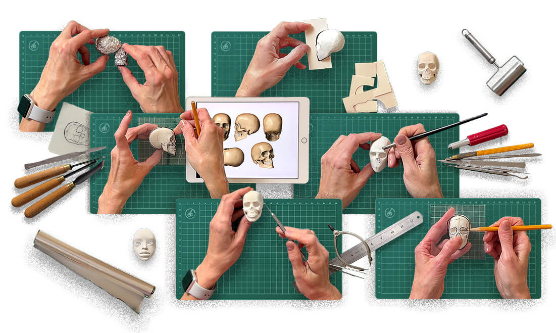 Creating BJD Skulls: Course by Anna Haritonova