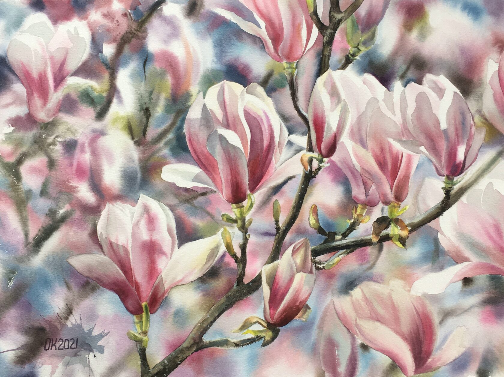 watercolor magnolia 