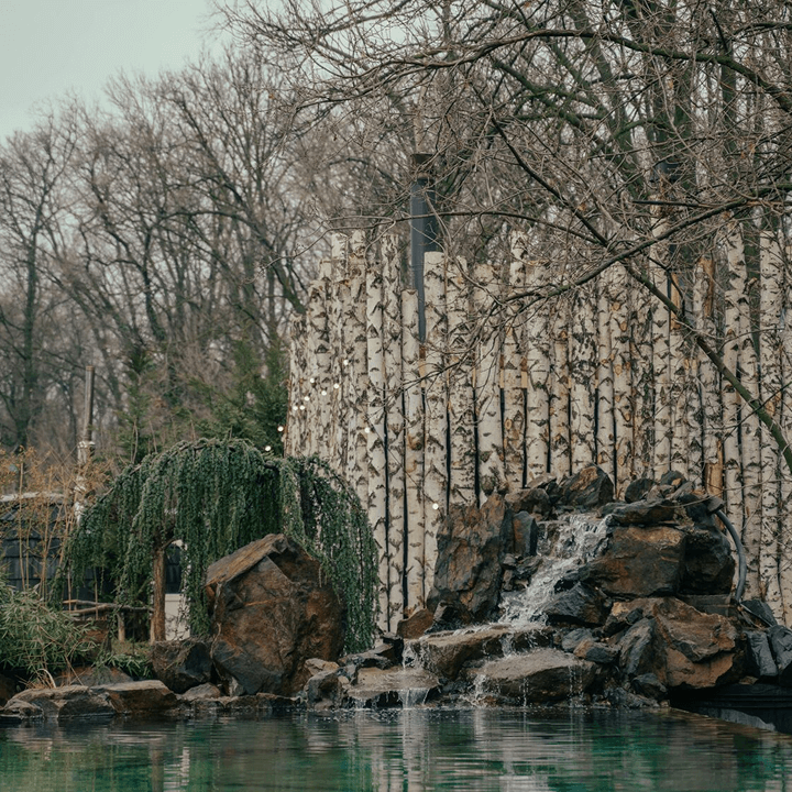 Forest: стена из берёзы и водопад