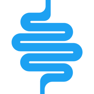 website icon