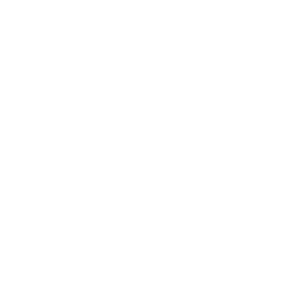 website icon