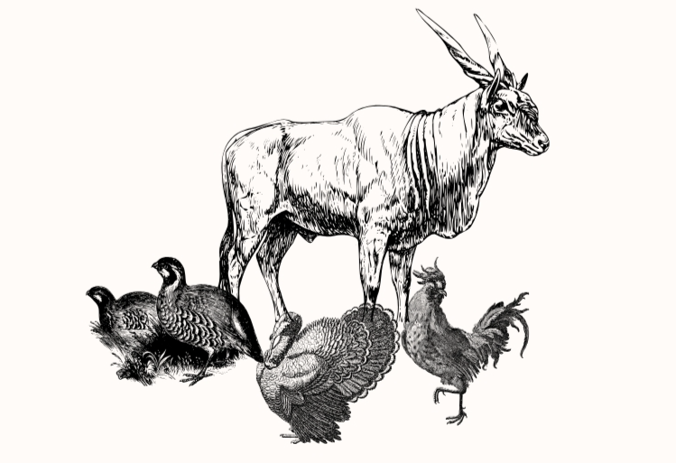  КАРАШИНСЬКЕ подвірʼя - premium family farm 