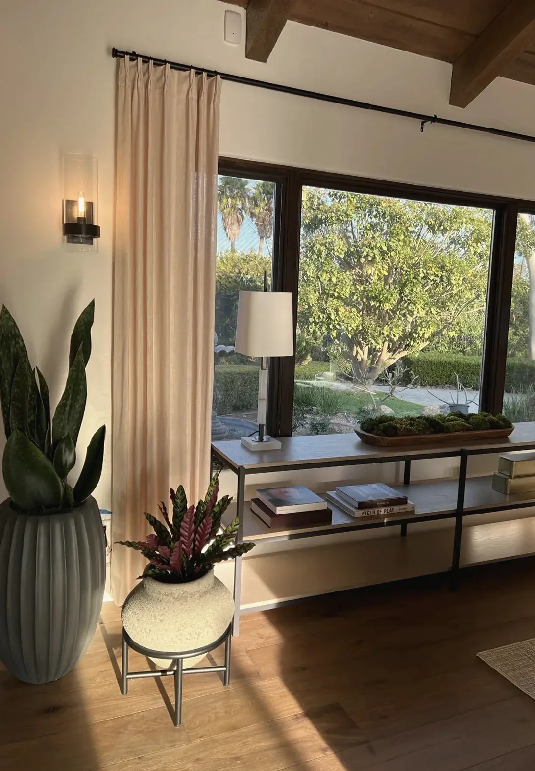 A snake plant in a ribbed planter beside a console under a window