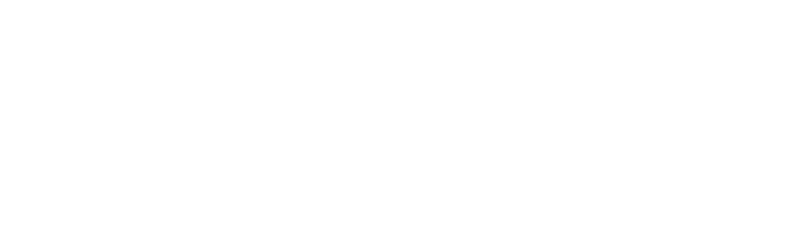 Логотип iRidi