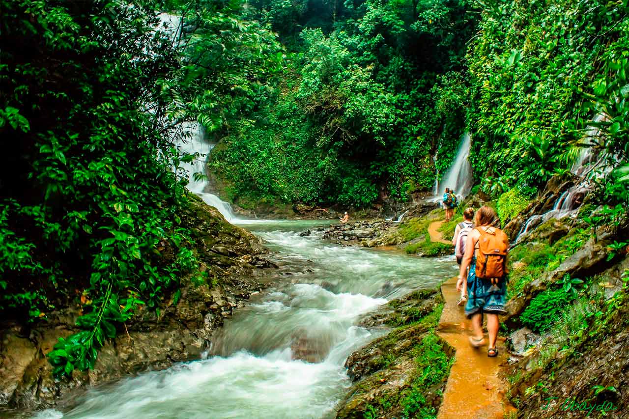 Excursionistas con mochilas por un sendero angosto junto a un río caudaloso en el bosque lluvioso