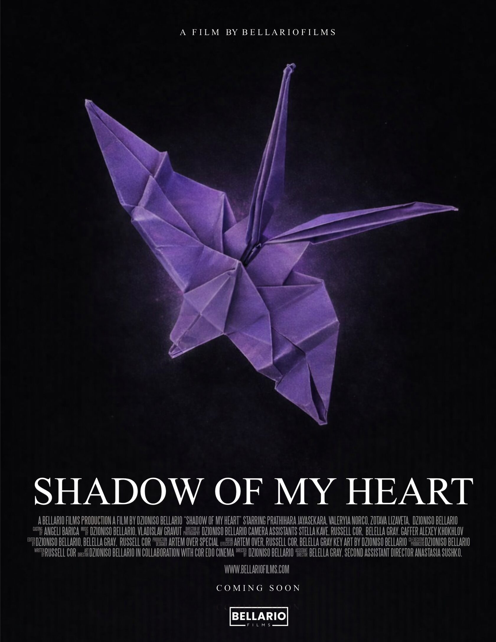 SHADOW OF MY HEART movie poster