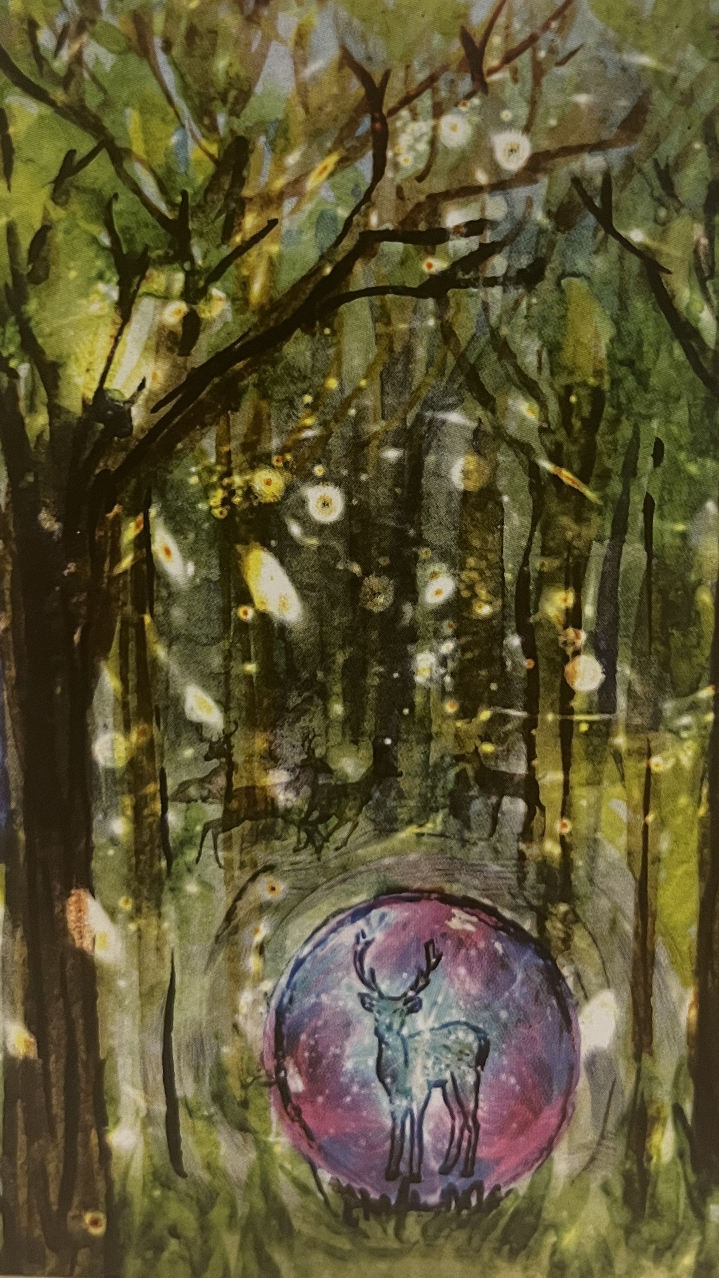 Открытая карта 5