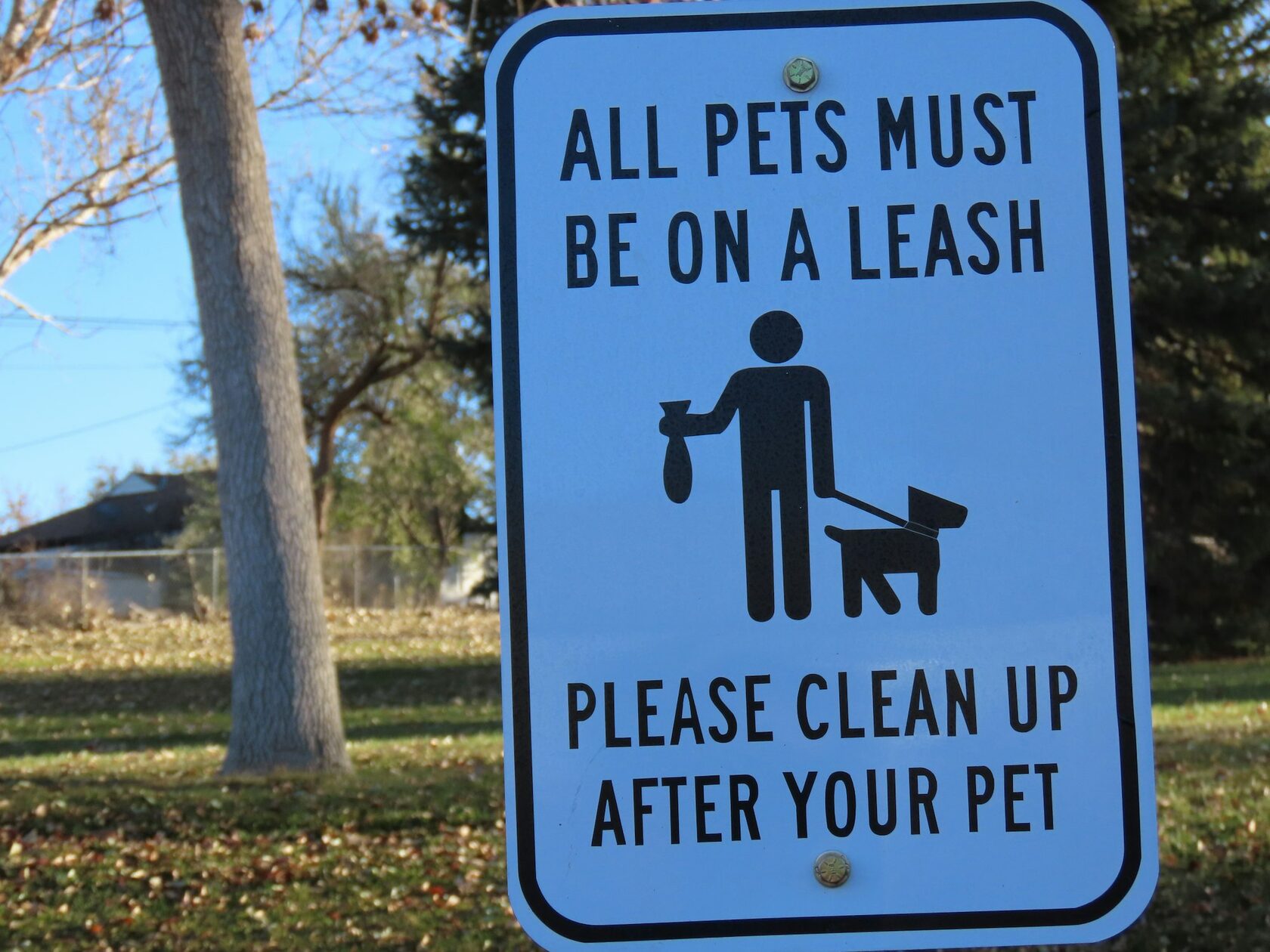 Thorough yard cleaning