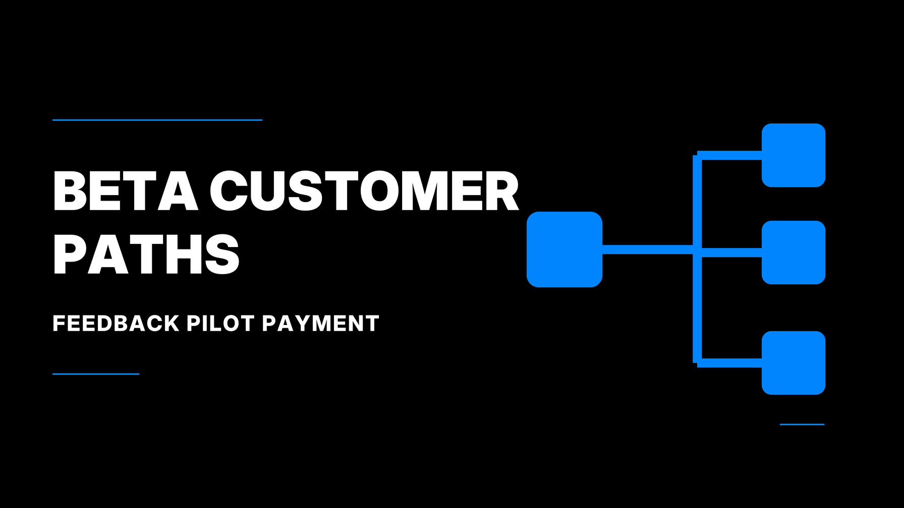 Beta Customer Paths Feedback Pilot Payment