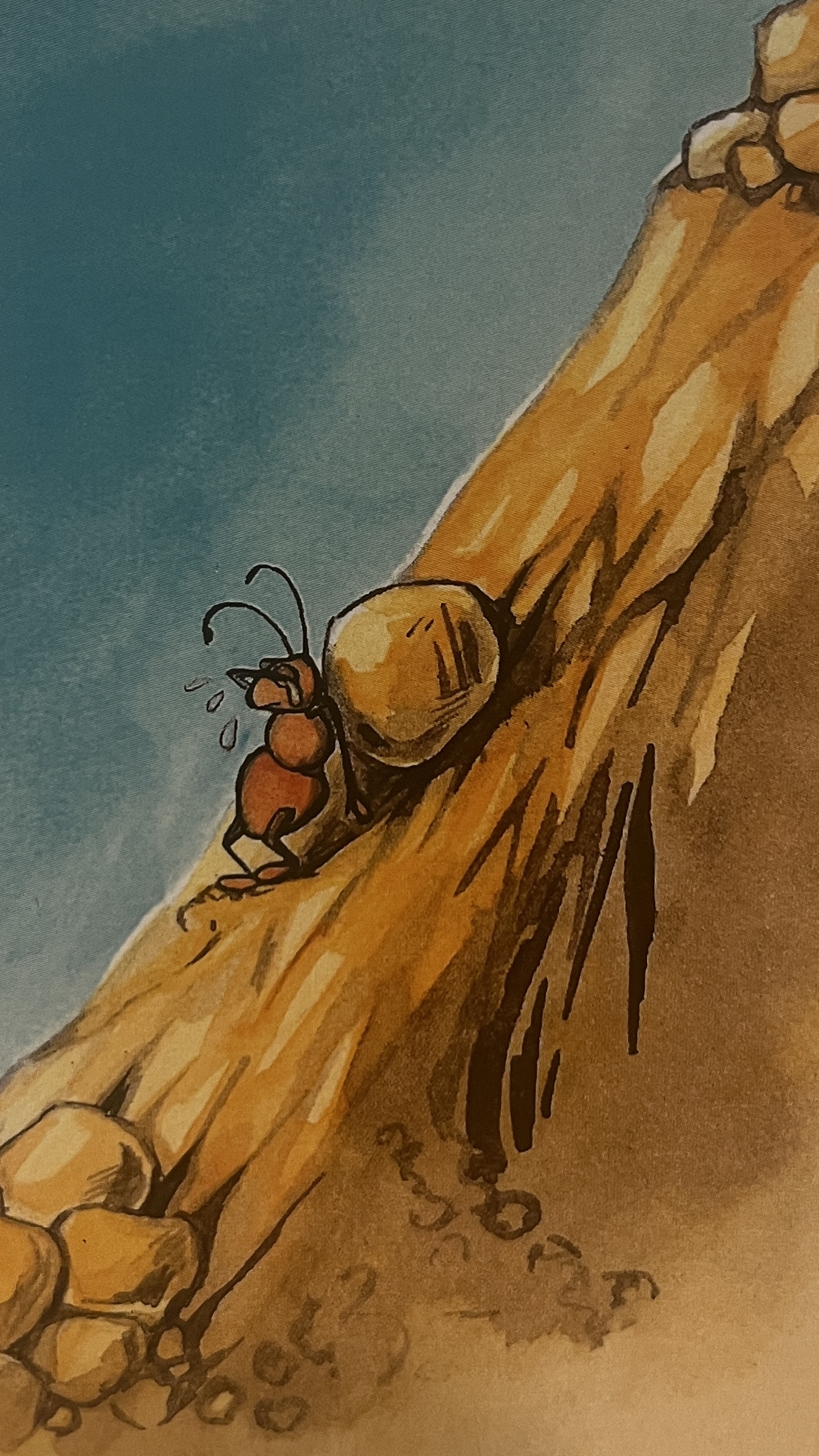 Открытая карта 6