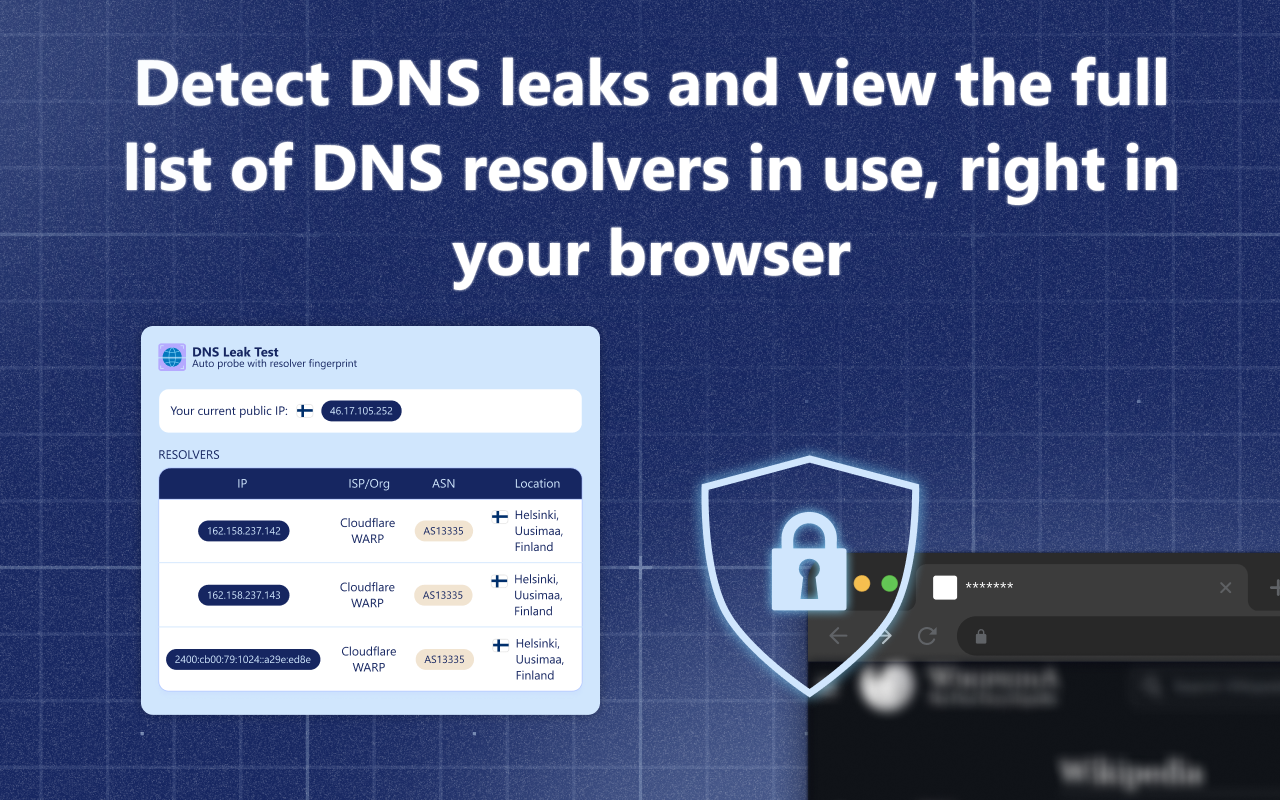 DNS Leak Test