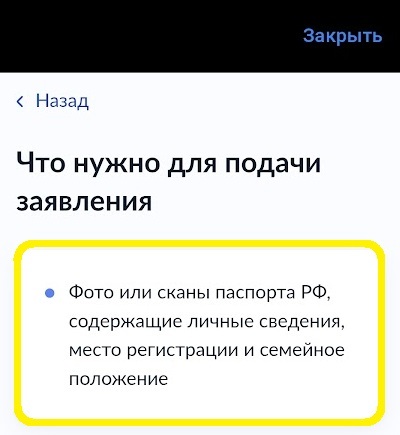 Скриншот страницы Госуслуг с разделом «Что нужно для подачи заявления». В списке указано, что требуется фото или сканы паспорта РФ с личными данными, местом регистрации и семейным положением.