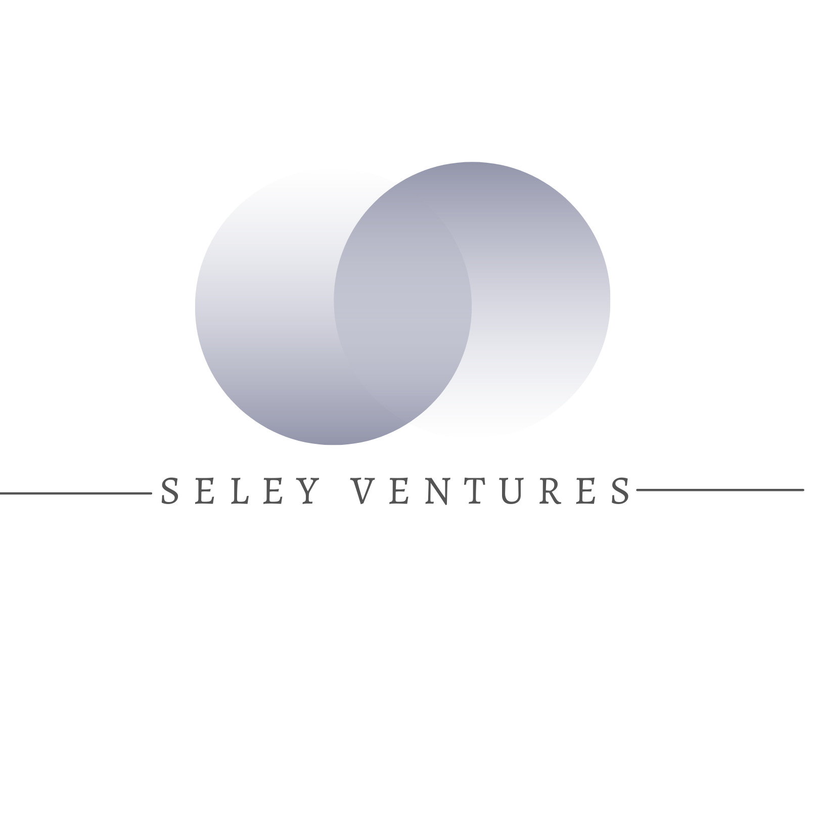  Seley Ventures 