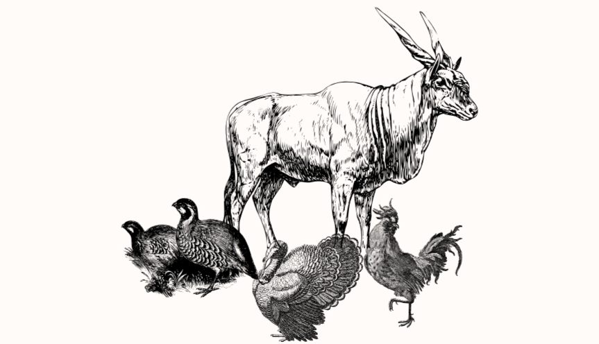  КАРАШИНСЬКЕ подвірʼя premium family farm 