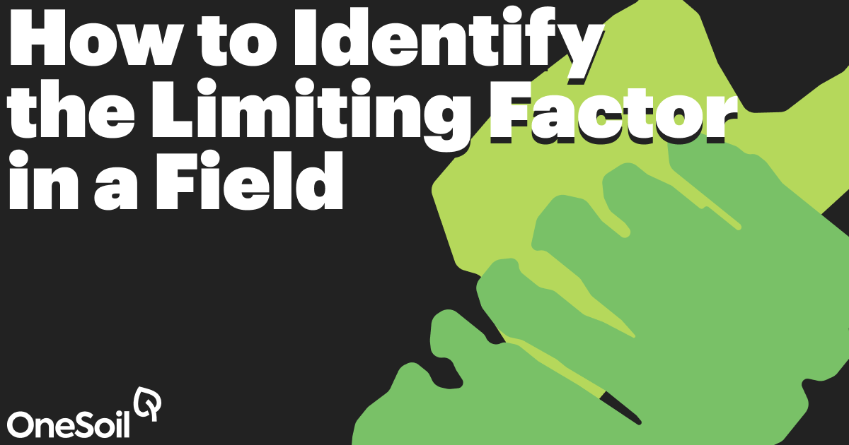 How to Identify the Limiting Factor in a Field with OneSoil
