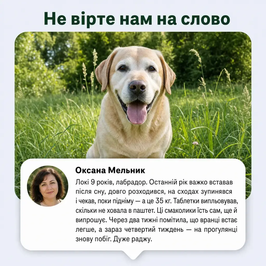Відгук власниці про ЛАПВІТ