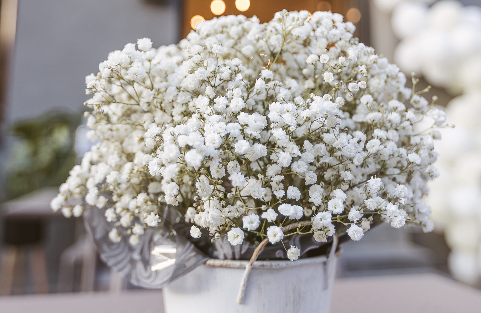 Nuotraukos iš kavinės atidarymo