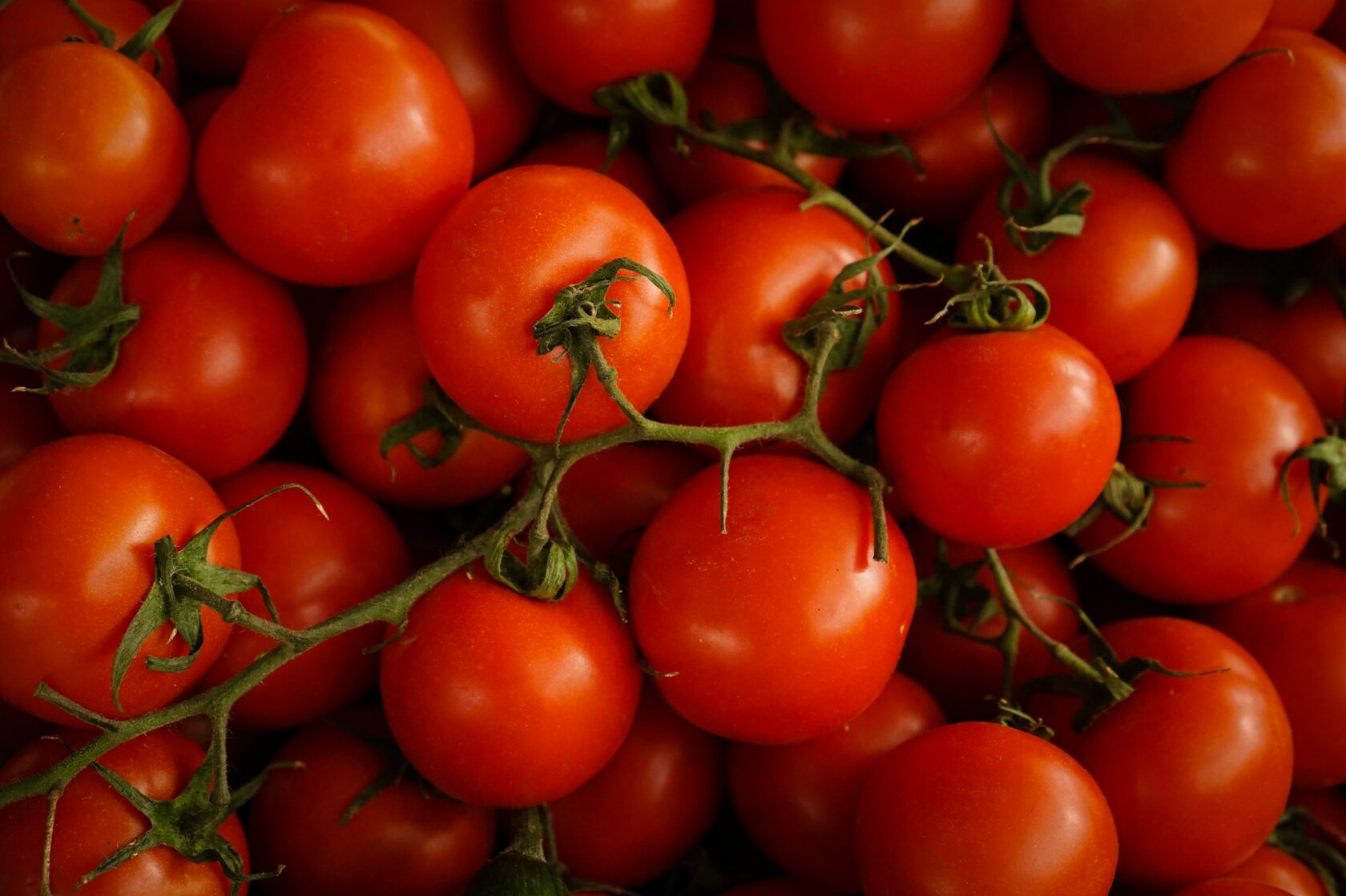 Pomodori del Gargano