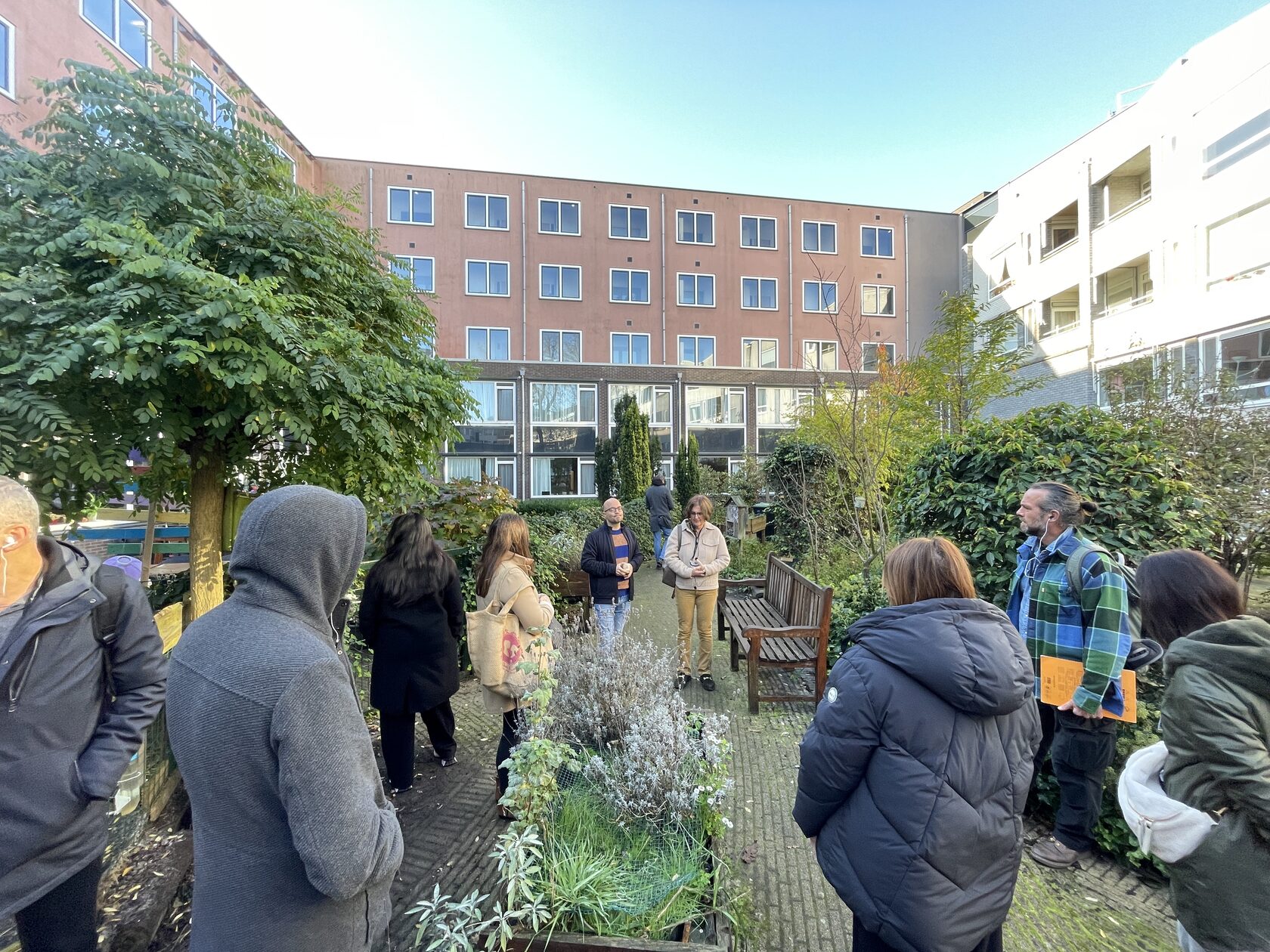 Elderly Care in the Netherlands — Buurtzorg, Hogeweyk & Ageing in Place