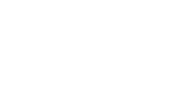 VMware by Broadcom Logo