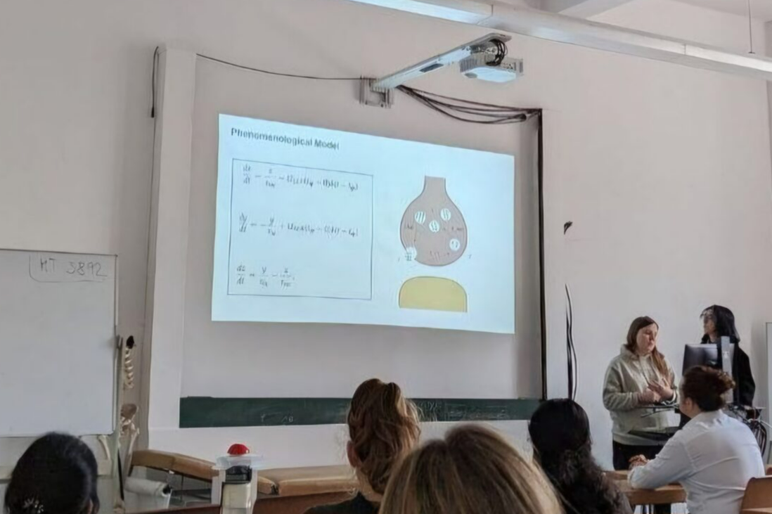 Master thesis "Studying the Decoding CNN Training on Unbalanced Data".