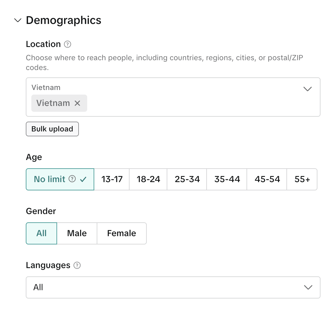 Блок Demographics: гео, возраст, пол и языки в группе объявлений TikTok