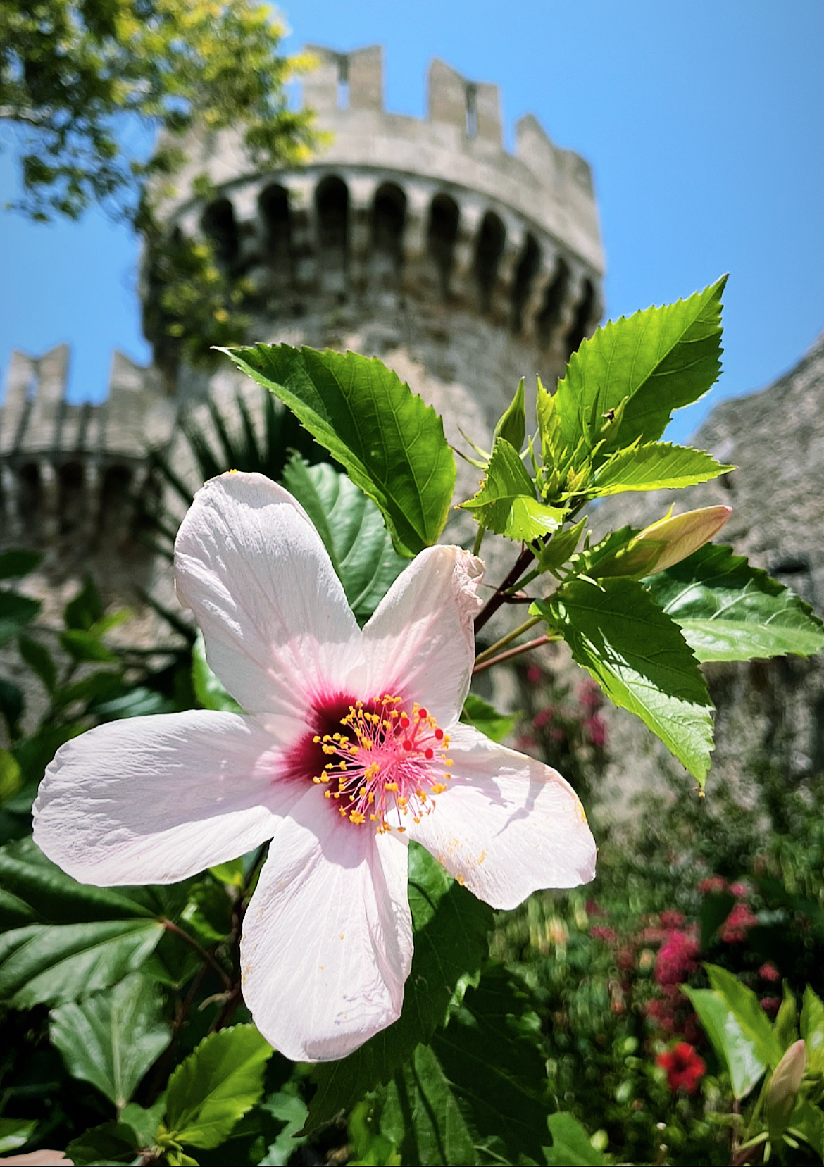 2024’s most popular spring destinations | DiscoverCars.com