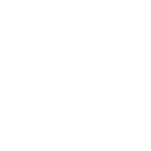 website icon