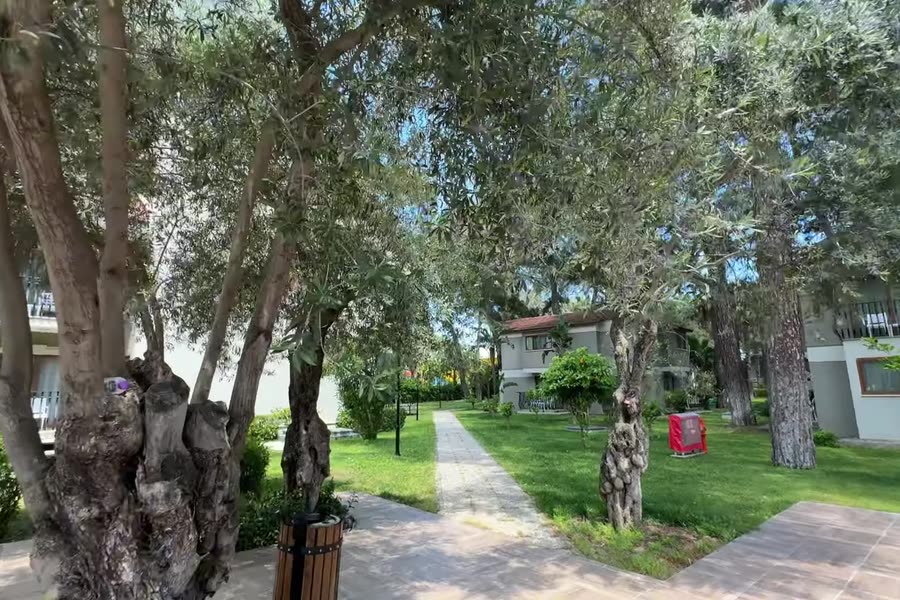Оливки й будиночки — Kimeros Park