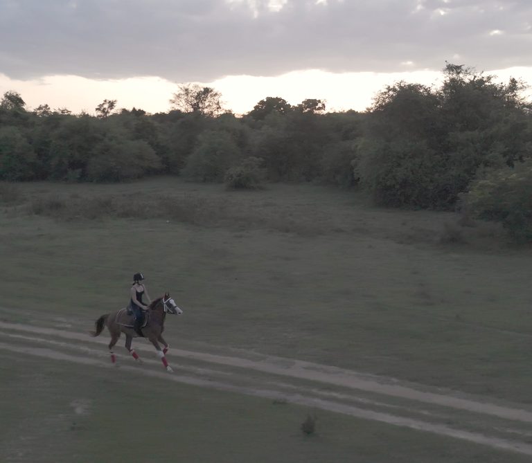 Riders on horseback at sunset.