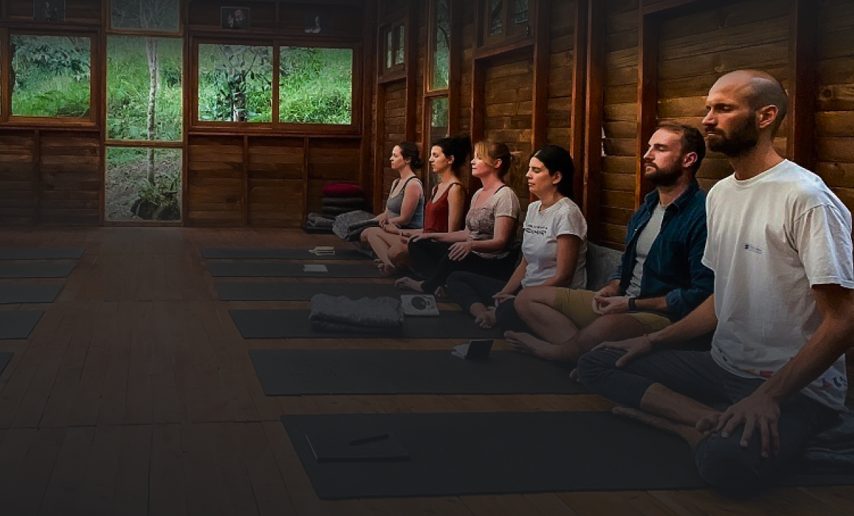 Vipassana Lite TeamLead Academy