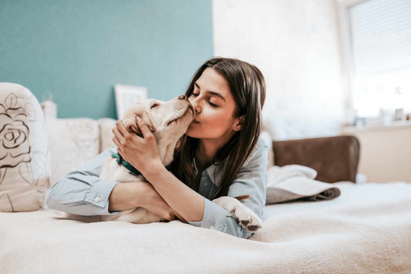 Живете в Чехии и давно мечтаете завести питомца? Или хотите только переехать сюда со своим верным другом? Здесь мы расскажем, как правильно завести/перевезти питомца в рамках закона :)