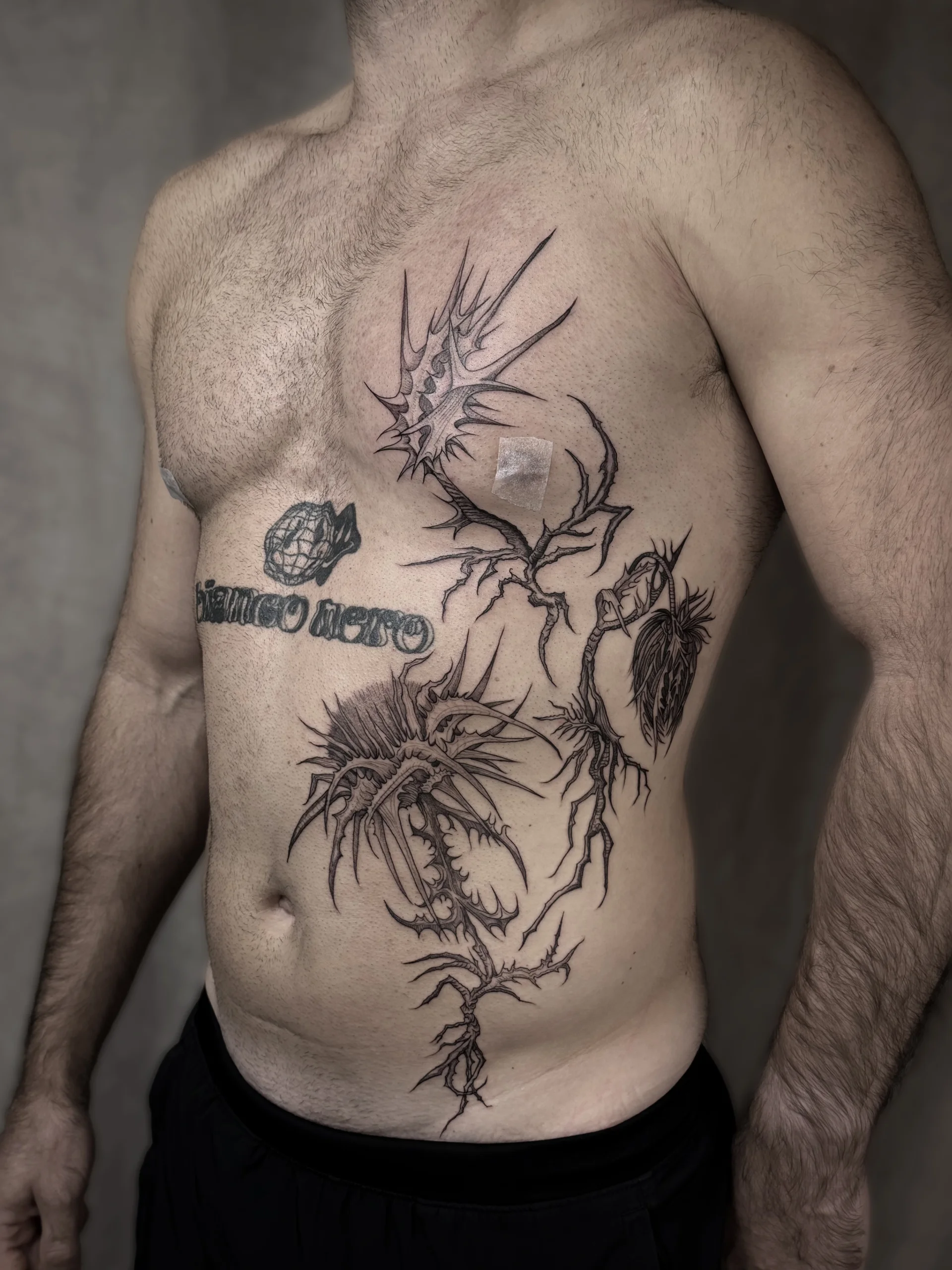 Large tattoo from chest to abdomen with angular thorny stems, spiky flower forms, a drooping bud and root-like branches.
