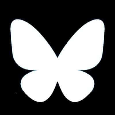 website icon