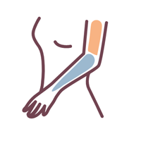 Half arms — laser hair removal area shown in blue