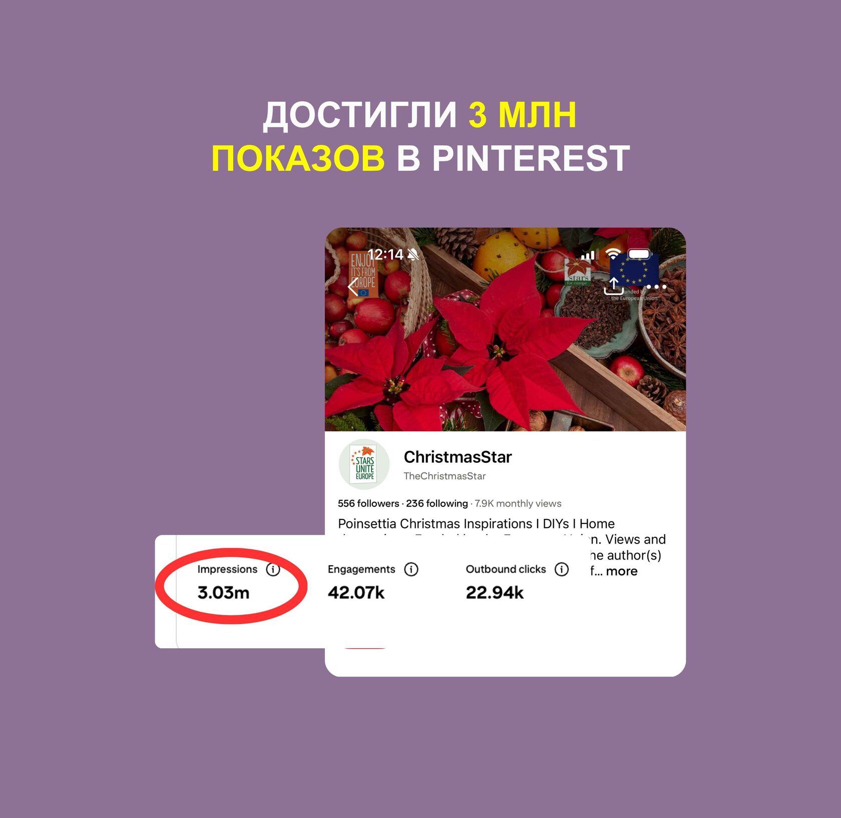 Кейс «Пуансеттия» 1
