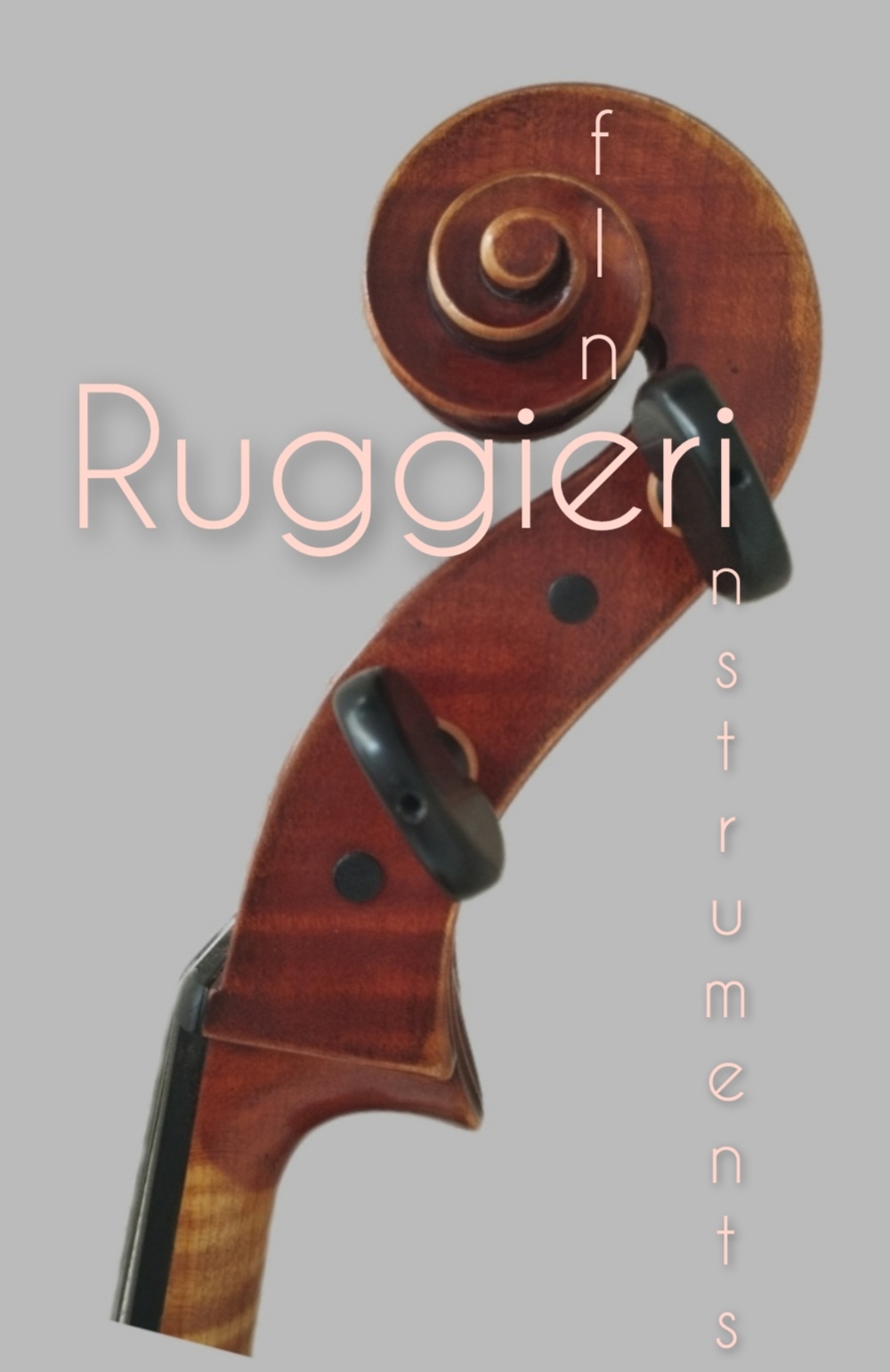 Ruggieri fine instruments