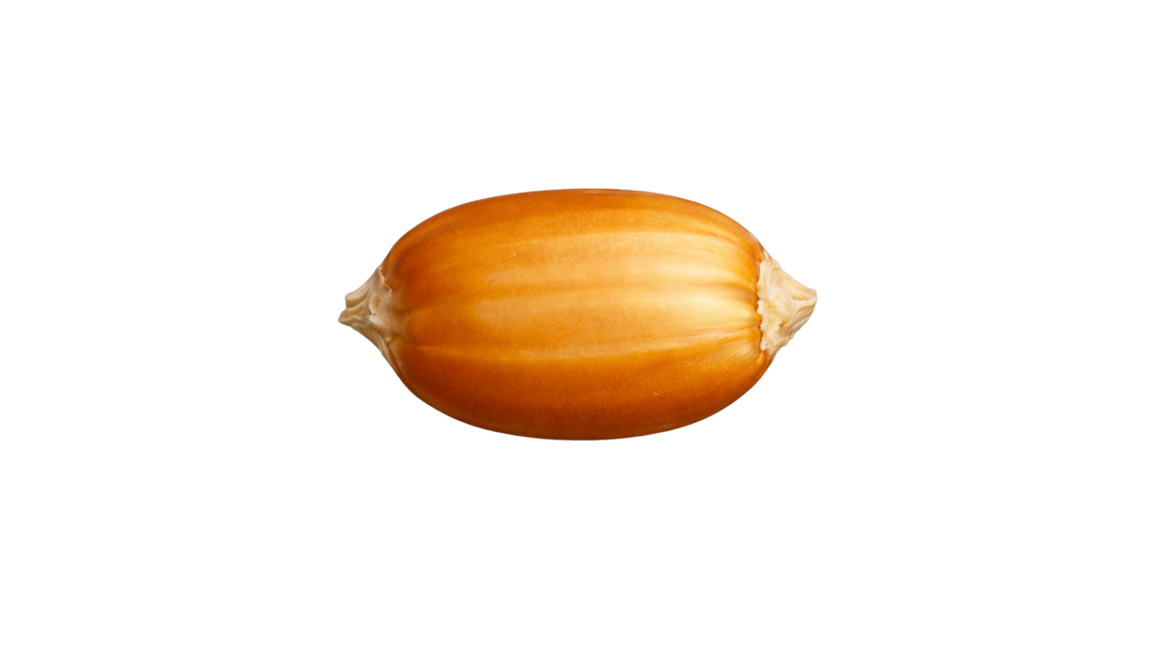 k1