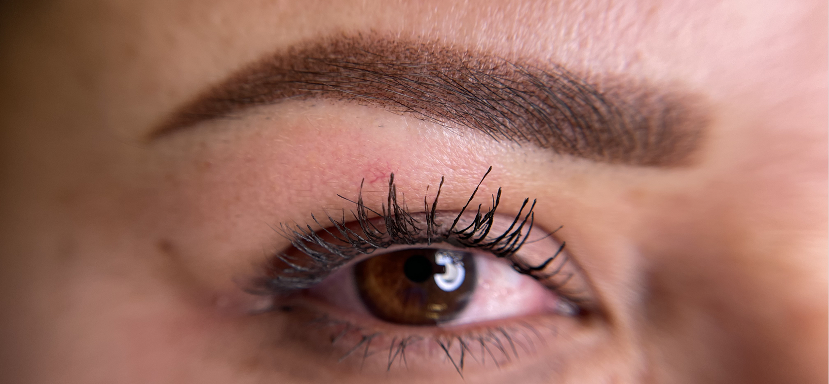Brows