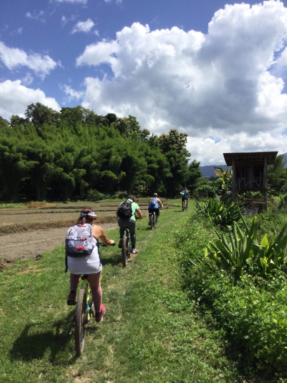 fitness holidays, chiang mai bootcamp, weight loss chiang mai, wellness retreat