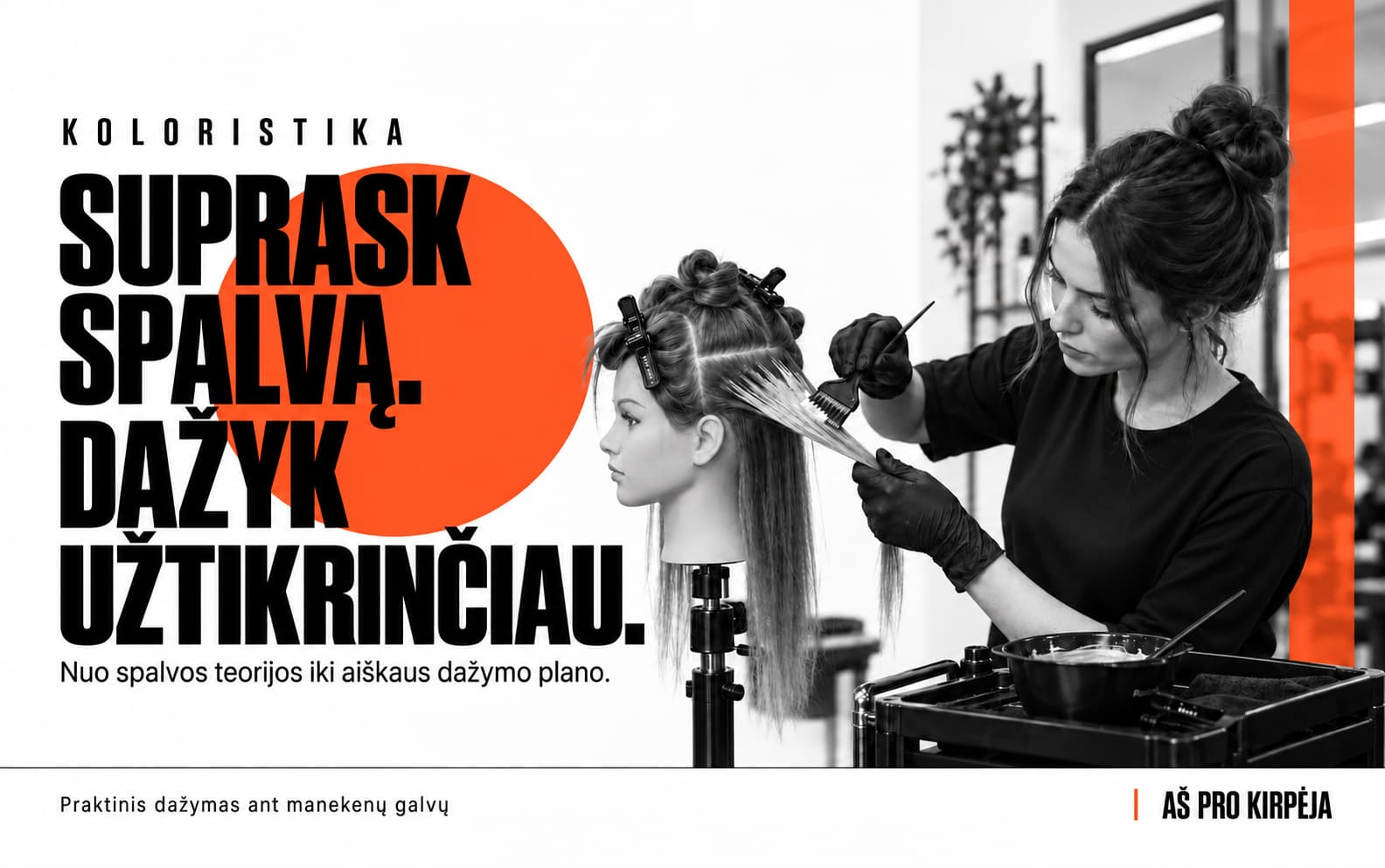Plaukų dažymas — praktinis darbas
