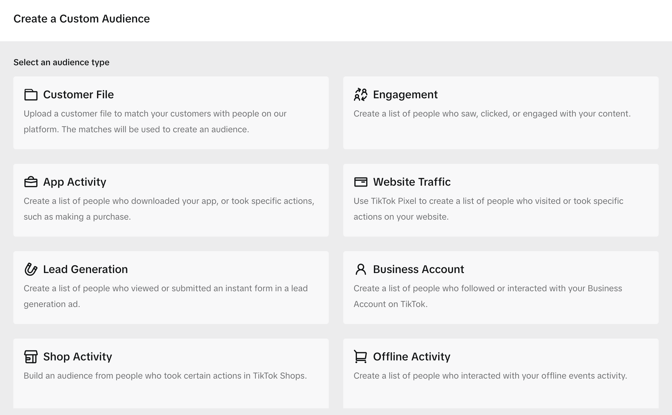 Типы пользовательских аудиторий в окне Create a Custom Audience