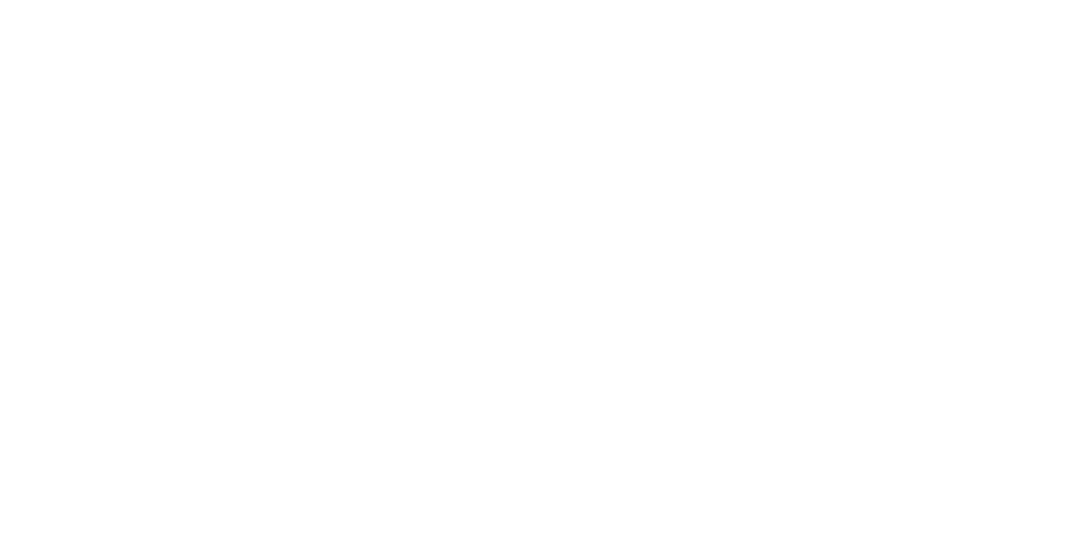 Lion's Auto