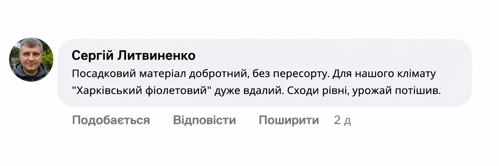 Відгук про Харківський фіолетовий часник