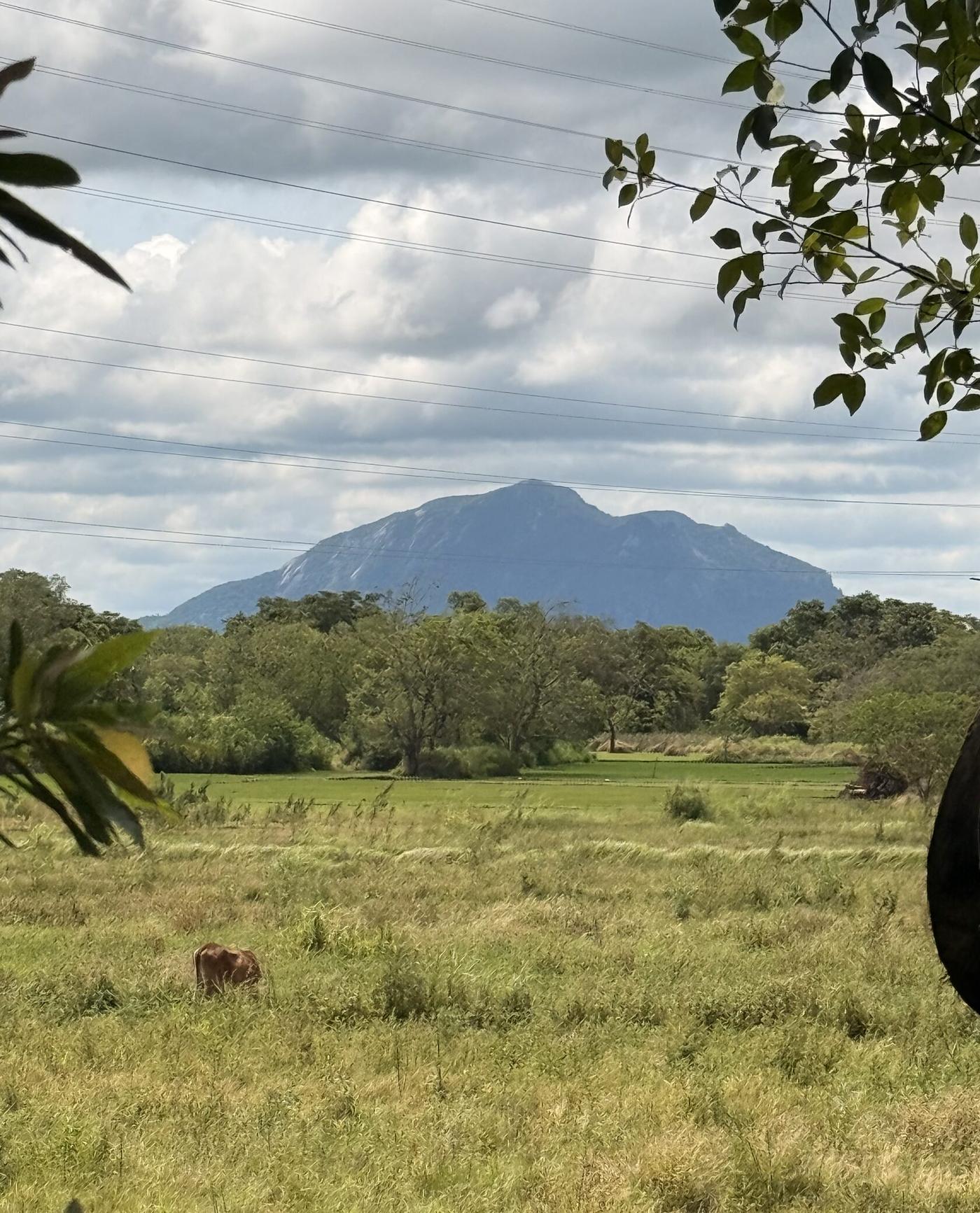 Countryside landscape near Lakewood Mounted Estate in Habarana, Sri Lanka, with distant hills and open green land.